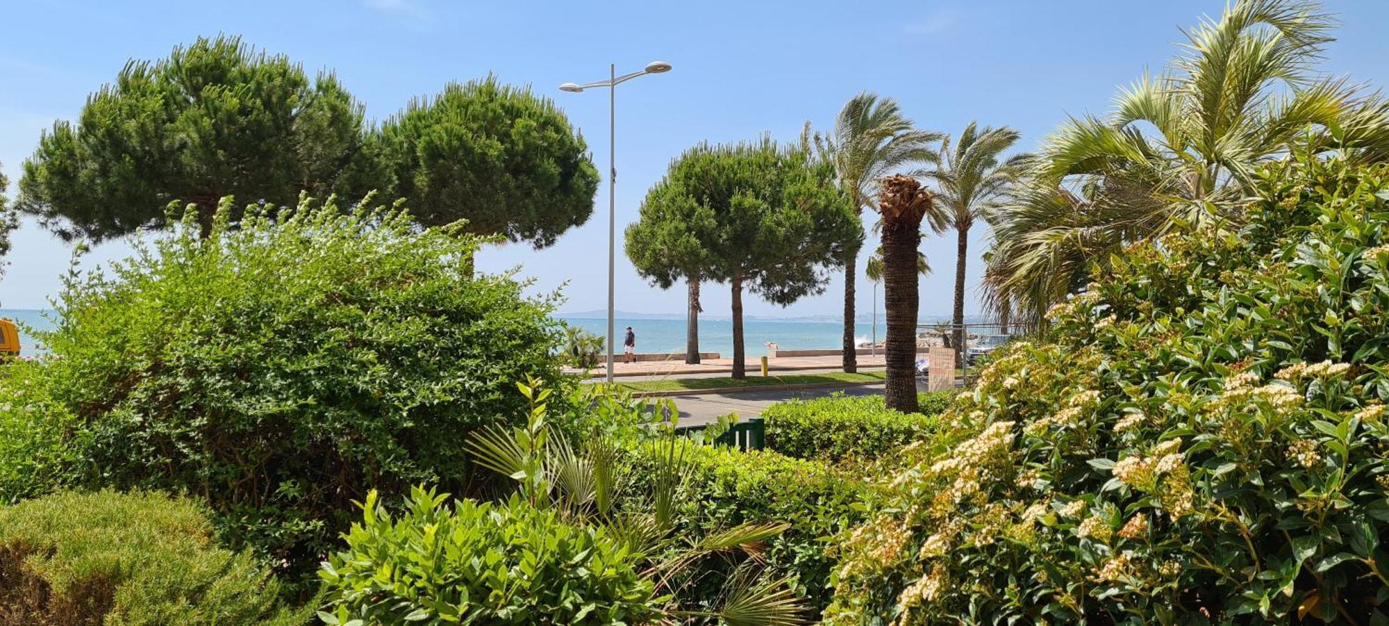 Studio De La Plage - Mer, Terrasse Et Garage Cagnes-sur-Mer Bagian luar foto